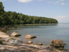 Europa, Nordeuropa, Estland: Naturparadies im Baltikum - Br am Ufer
